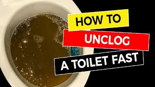 How to Unclog a Toilet Fast 🚽 [upl. by Olympie]