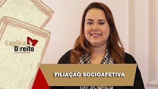 Explica Direito Filiação Socioafetiva  2019 [upl. by Eustazio688]