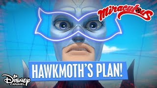 Hawk Moths Master Plan  Miraculous Ladybug  Disney Channel Africa [upl. by Camala]