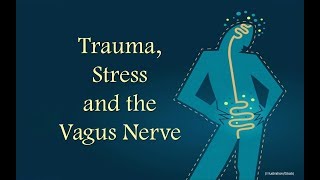 Trauma Stress amp the Vagus Nerve [upl. by Atniuqal]