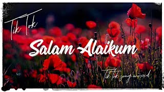 Salam Alaikum Tiktok Song 147  Alpha Blondy  Jérusalem Tik Tok Mix [upl. by Kina]