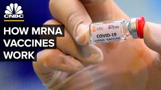 What Is An mRNA Coronavirus Vaccine [upl. by Llenra382]