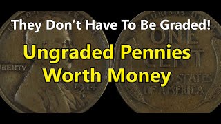 You Dont Have to Grade These Pennies  Theyre Worth Money UNGRADED [upl. by Enimaj824]