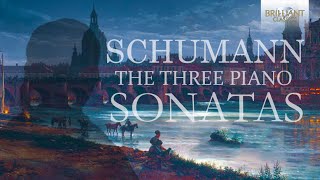 Schumann The Three Piano Sonatas [upl. by Caia10]