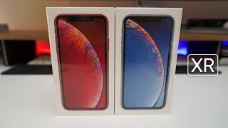 iPhone XR  Unboxing Setup and Display Comparison [upl. by Wunder]