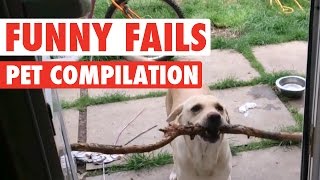 Funny Dogs And Cats  Silly Pet Fails Compilation [upl. by Oad]