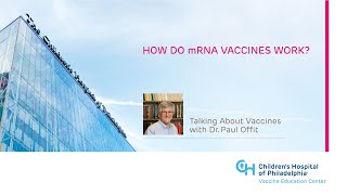 How Do mRNA Vaccines Work [upl. by Fries]