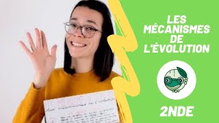 Les mécanismes de lévolution  2nde  Madame SVT [upl. by Clayton]