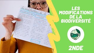 Les modifications de la biodiversité  2nde  Madame SVT [upl. by Ferreby]