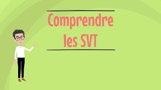 Comprendre la SVT [upl. by Anauqahc]