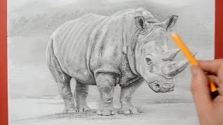 How to Draw a Rhinoceros  Realistic Pencil Drawing [upl. by Aniehs]