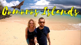 The Comoros Islands wildlife adventures in Moheli and Moroni [upl. by Nonnahsed]