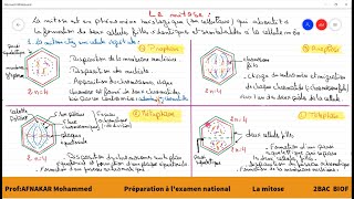 2 La mitose 2BAC PCSVT1BAC SM [upl. by Vyse]