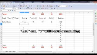 Calorie Counting in Excel  Tutorial [upl. by Elicul]