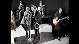 The Association  Windy Live 1967 [upl. by Reese266]