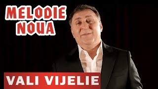 Vali Vijelie si Stelu Pandelescu  Sotia mea frumoasa NOU 2019 [upl. by Aikcin]