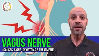 VAGUS NERVE Causes Signs Symptoms amp Treatment Cranial Nerve X [upl. by Orose]