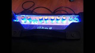 Hughes amp Kettner Tubemeister 18 Combo Demo [upl. by Arteid]