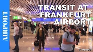 TRANSIT WALK AT FRANKFURT Airport FRA Terminal 1  Connection Flight Transfer Arriving amp Departing [upl. by Yaral474]