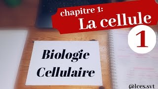 Chapitre 1  La cellule les procaryotes [upl. by Kared]