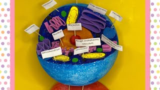 How to make animal cell model  science project  2minutesscience548 [upl. by February]